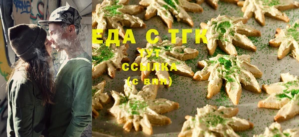 дмт Бородино