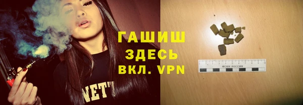 дмт Бородино