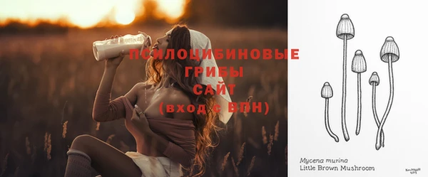 ешки Богданович