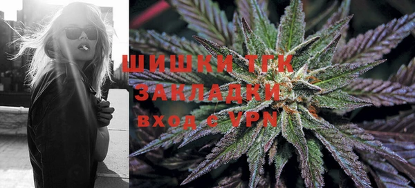 дмт Бородино