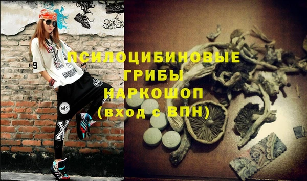 гашик Белокуриха