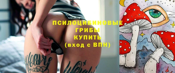 спиды Верея