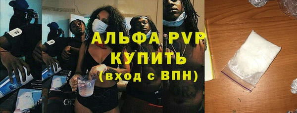 дмт Бородино