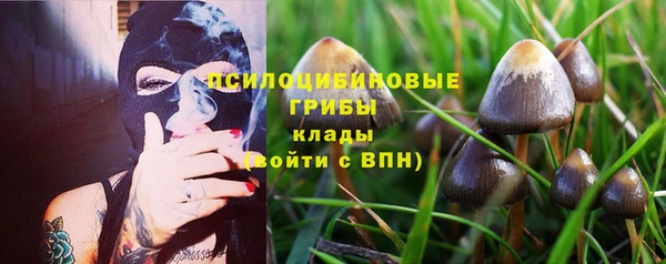 мдпв Бронницы