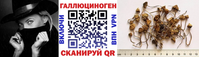 Галлюциногенные грибы GOLDEN TEACHER  Духовщина 